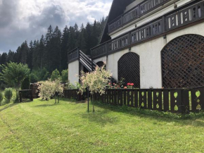 Отель Bucovina Lodge Pension  Вама